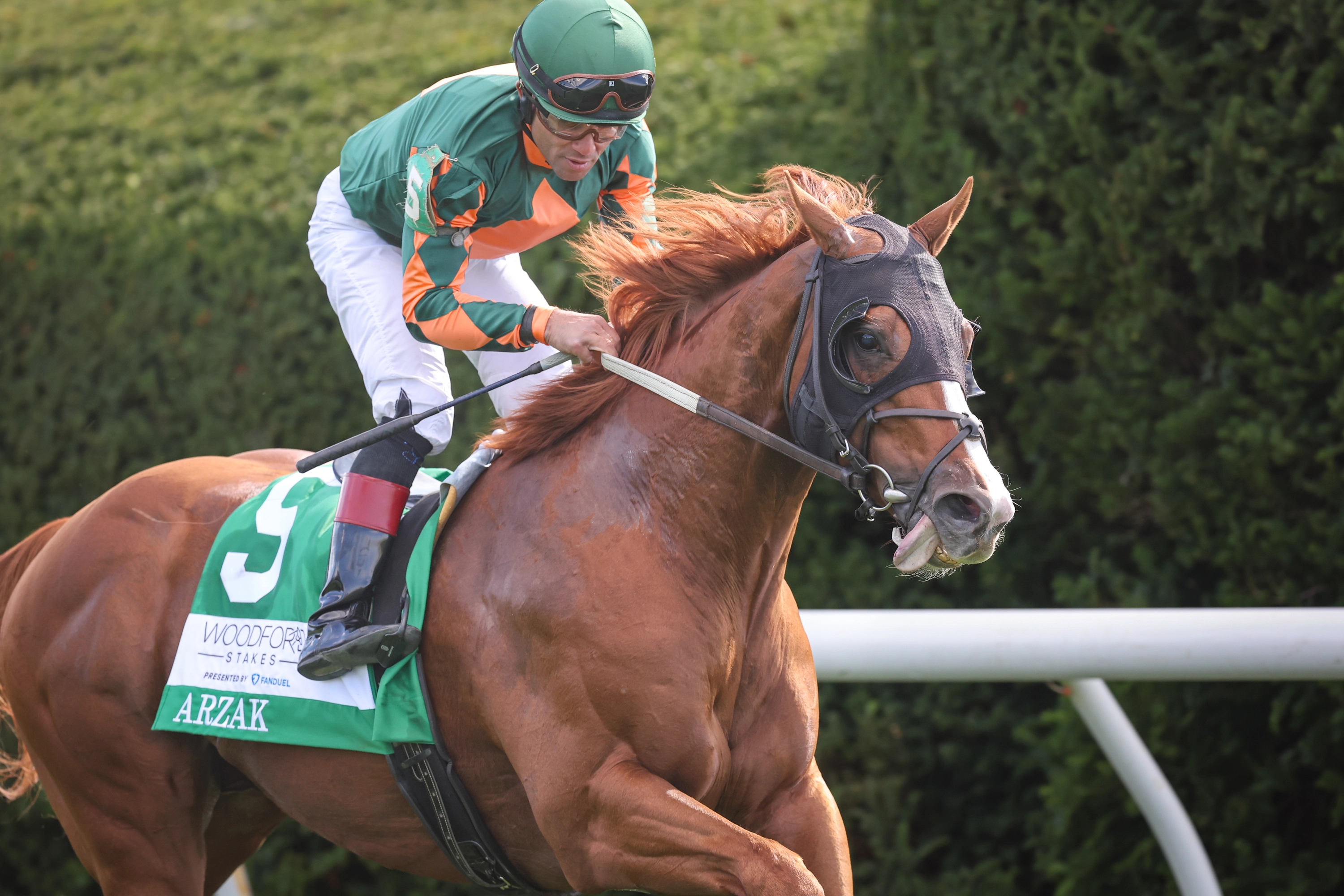 ARZAK - Credit: EquiSport Photos